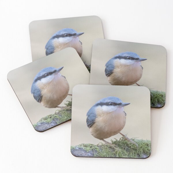 Item preview, Nuthatch designed and sold by LaurenTucker.