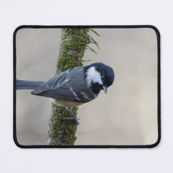 Item preview, Coal Tit designed and sold by LaurenTucker.