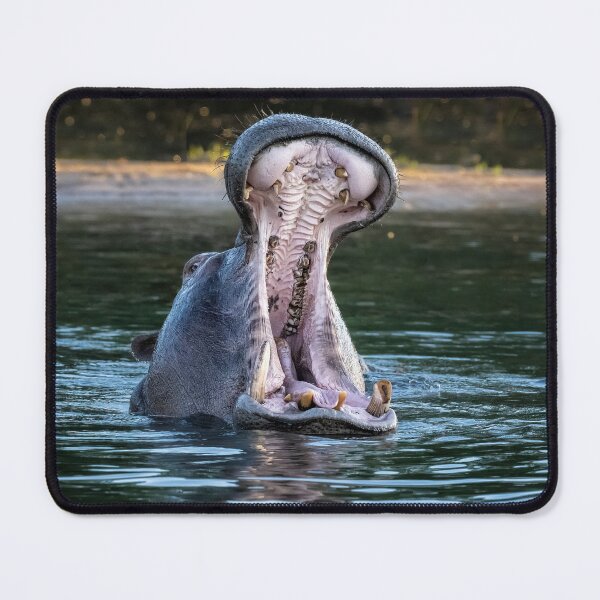 Item preview, Hippo Wide Open Mouth designed and sold by PhotoArt by Joan Carroll.