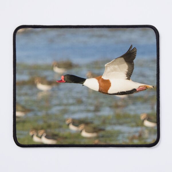 Item preview, Shelduck designed and sold by LaurenTucker.