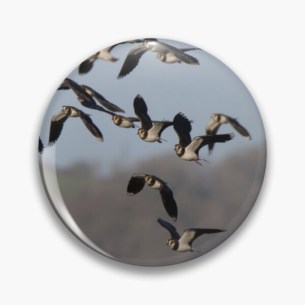 Item preview, Lapwing designed and sold by LaurenTucker.