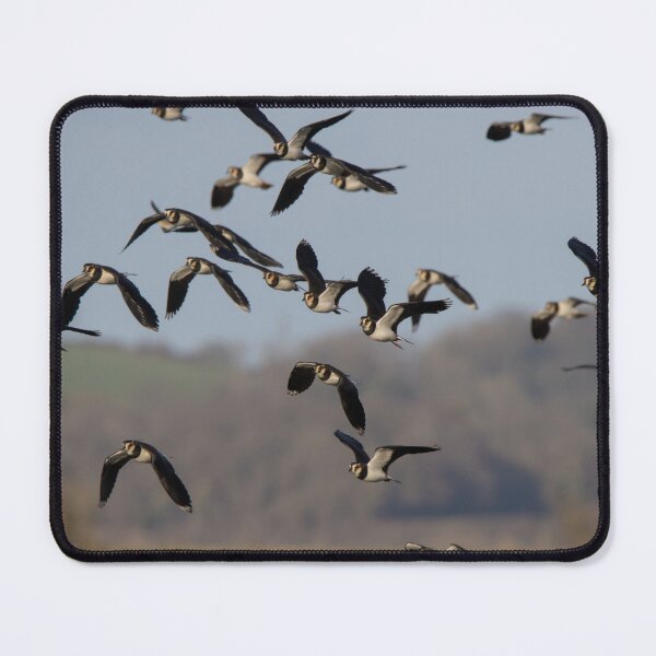 Item preview, Lapwing designed and sold by LaurenTucker.