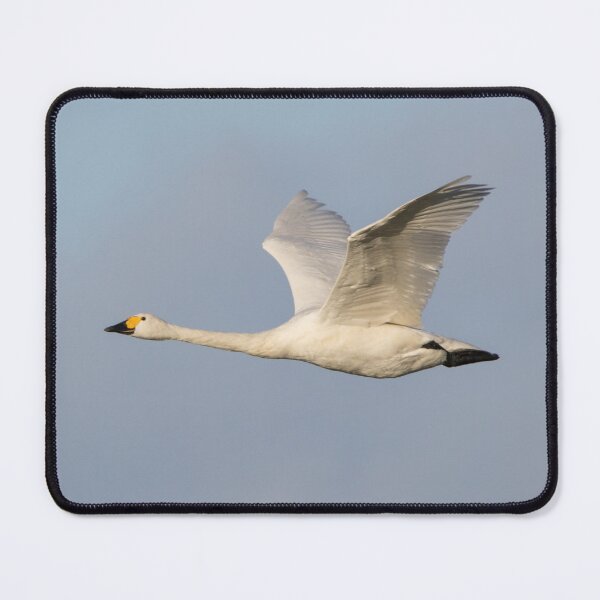 Item preview, Bewick Swan designed and sold by LaurenTucker.