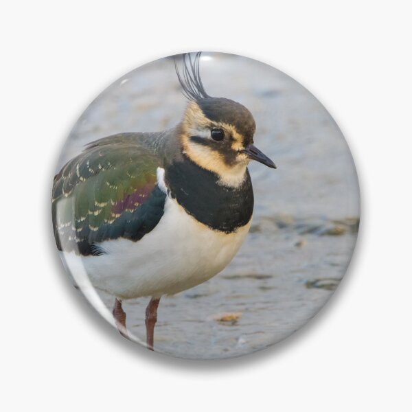 Item preview, Lapwing designed and sold by LaurenTucker.