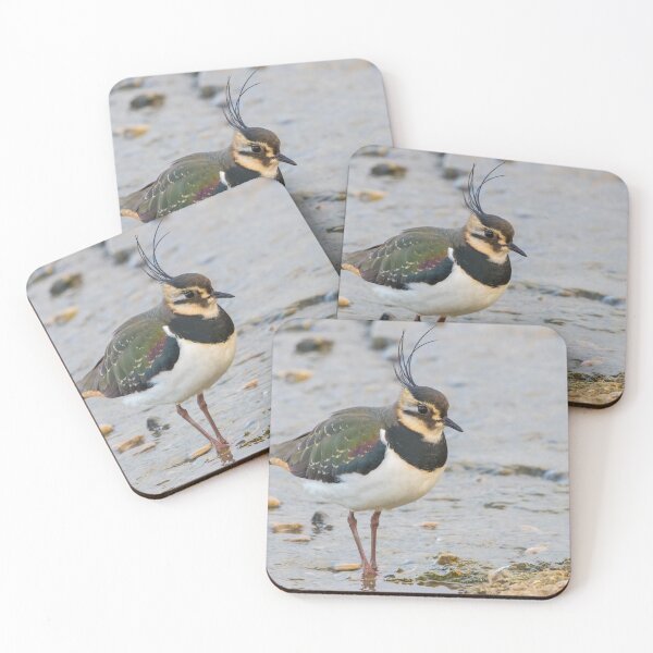 Item preview, Lapwing designed and sold by LaurenTucker.