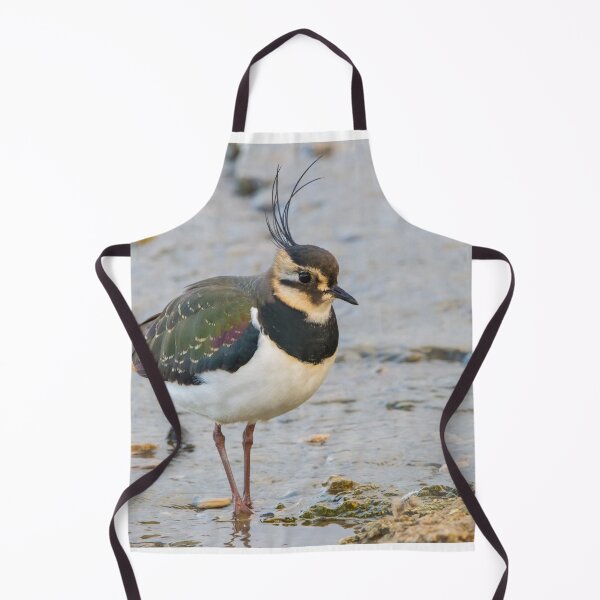 Item preview, Lapwing designed and sold by LaurenTucker.