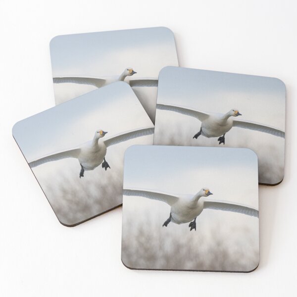 Item preview, Bewick Swan designed and sold by LaurenTucker.