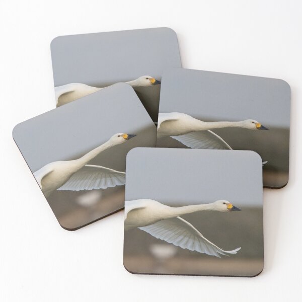 Aperçu de l'œuvre Bewick Swan créée et vendue par LaurenTucker.