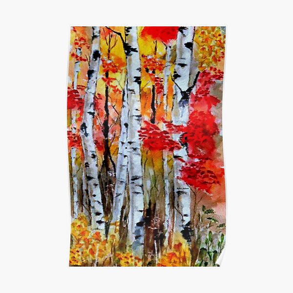 Birch Trees in Fall Poster