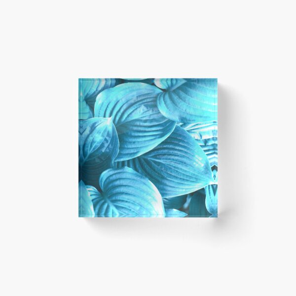 Item preview, Exotic Glowing Turquoise Leaves and Contemporary Floral Design Gifts For Flower Lovers  designed and sold by Flowerartlovers.