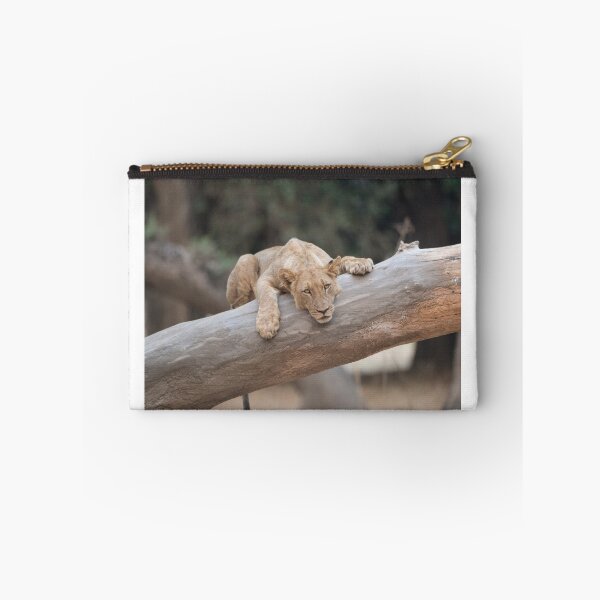 Item preview, Young female lion chilling out designed and sold by Sandra Boles.
