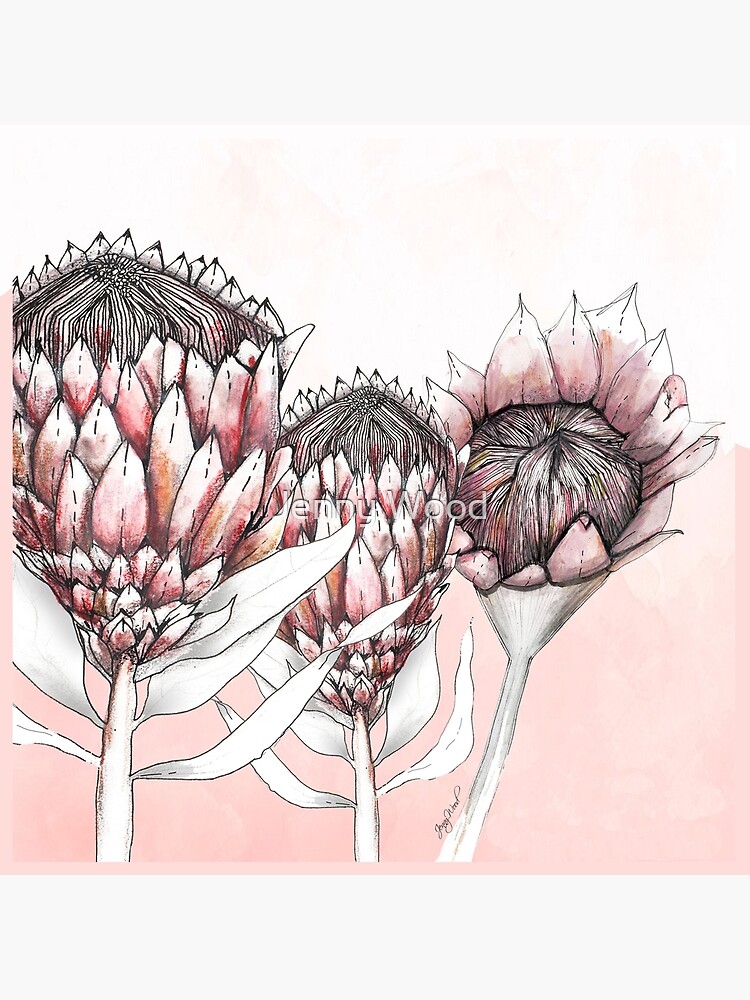 Thumbnail 4 of 4, Pillow, Protea trio designed and sold by dishmoptop.