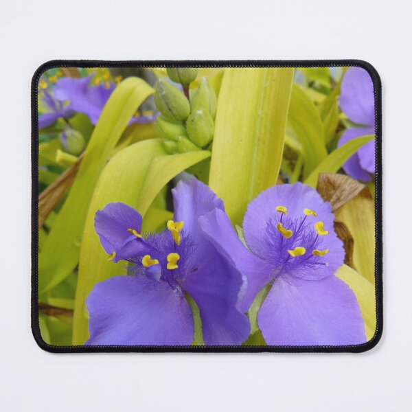 Item preview, Purple Twins designed and sold by Ladydi.