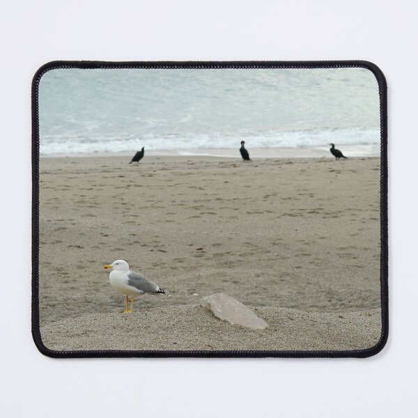 Item preview, 2017 Il gabbiano zampegialle e i cormorani designed and sold by robertoferrero.