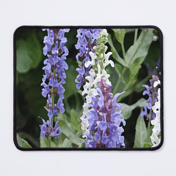 Item preview, Salvias designed and sold by Ladydi.