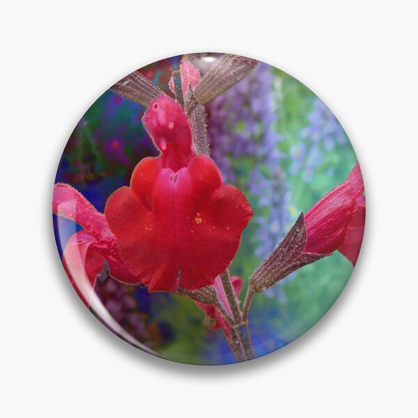 Artikelvorschau, Rote Salvia entworfen und verkauft von Ladydi.