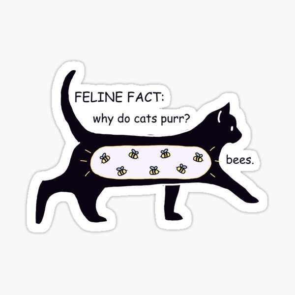 "why do cats purr?" Sticker for Sale by TeethDealer Redbubble
