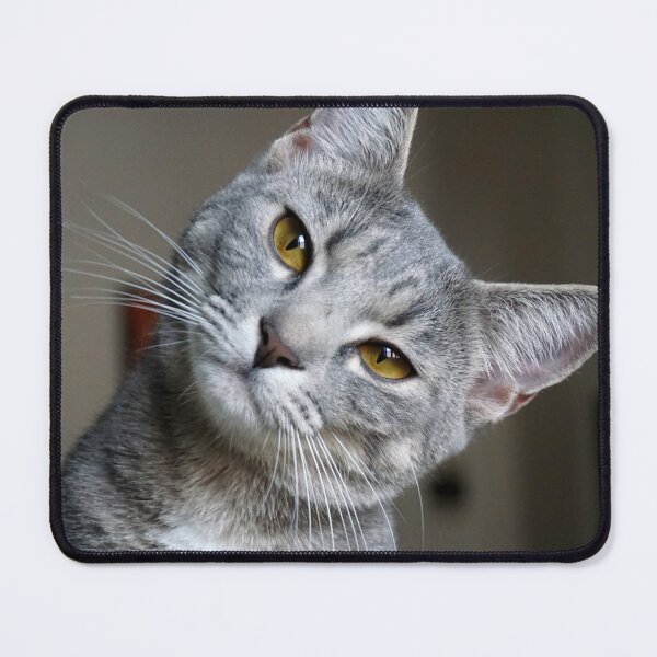Item preview, Cat tilting its head designed and sold by Batartiste.