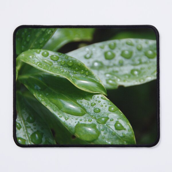 Item preview, Drops of Life designed and sold by Charles Dobbs Photography.