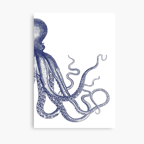 Half Octopus | Right Side | Vintage Octopus | Tentacles | Sea Creatures | Nautical | Ocean | Sea | Beach | Diptych | Navy Blue and White | Canvas Print