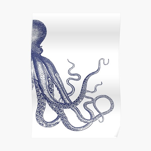Half Octopus | Right Side | Vintage Octopus | Tentacles | Sea Creatures | Nautical | Ocean | Sea | Beach | Diptych | Navy Blue and White | Poster