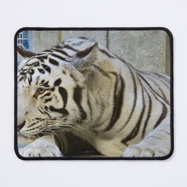 Item preview, Bored designed and sold by Charles Dobbs Photography.