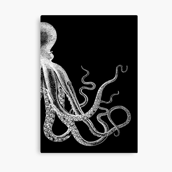 Half Octopus | Right Side | Vintage Octopus | Tentacles | Sea Creatures | Nautical | Ocean | Sea | Beach | Diptych | Black and White | Canvas Print
