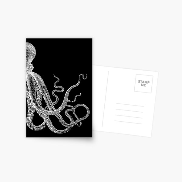 Half Octopus | Right Side | Vintage Octopus | Tentacles | Sea Creatures | Nautical | Ocean | Sea | Beach | Diptych | Black and White |   Postcard