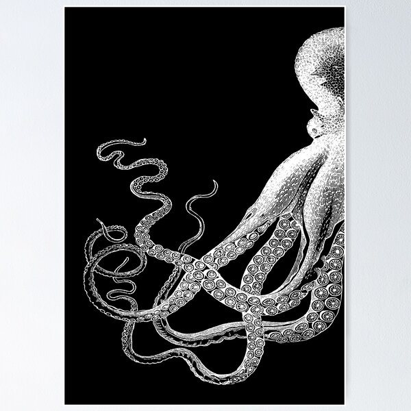 Half Octopus | Left Side | Vintage Octopus | Tentacles | Sea Creatures | Nautical | Ocean | Sea | Beach | Diptych | Black and White | Poster