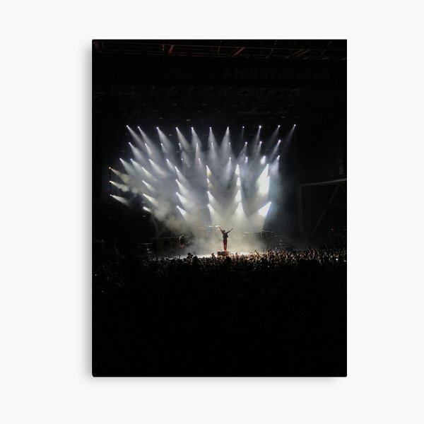 Green Day Canvas Print