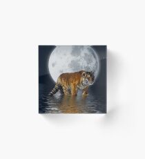Tiger Cub and Full Moon Acrylic Block