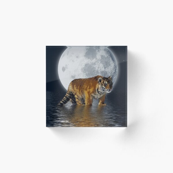 Tiger Cub and Full Moon Acrylic Block