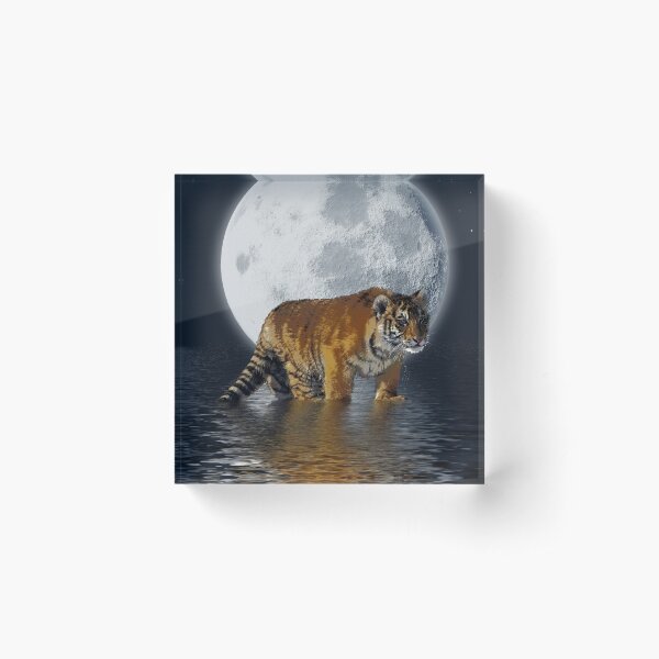 Aperçu de l'œuvre Tigre Cub et Pleine Lune créée et vendue par NaturePrints.