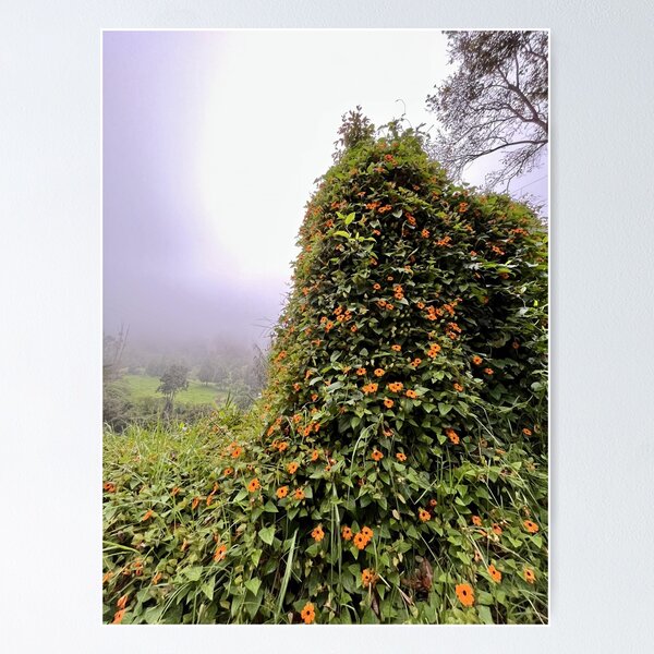 Item preview, Salento Flora, Colombia designed and sold by dabldabl.