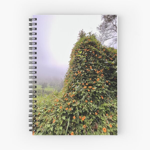 Item preview, Salento Flora, Colombia designed and sold by dabldabl.