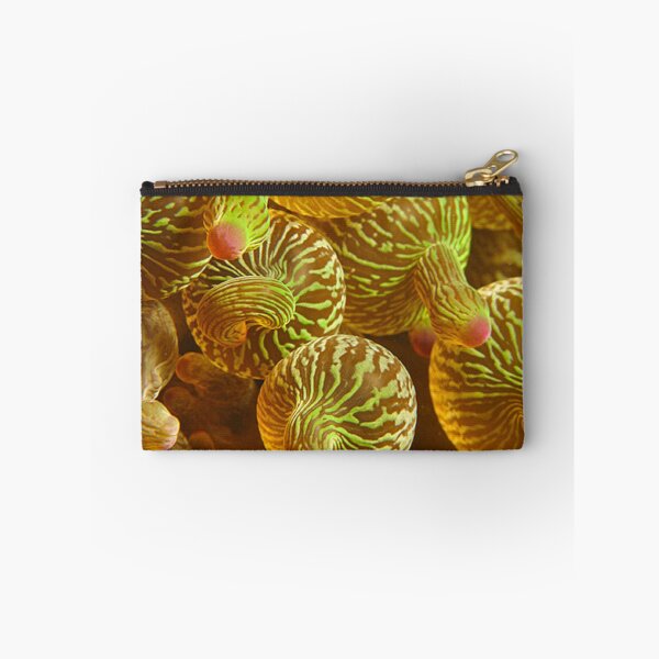 Item preview, Bubble-Tip Anemone designed and sold by NicUnderwater.