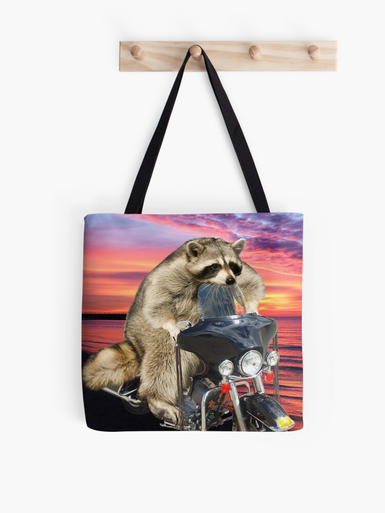 Birthday Raccoon on Motorcycle