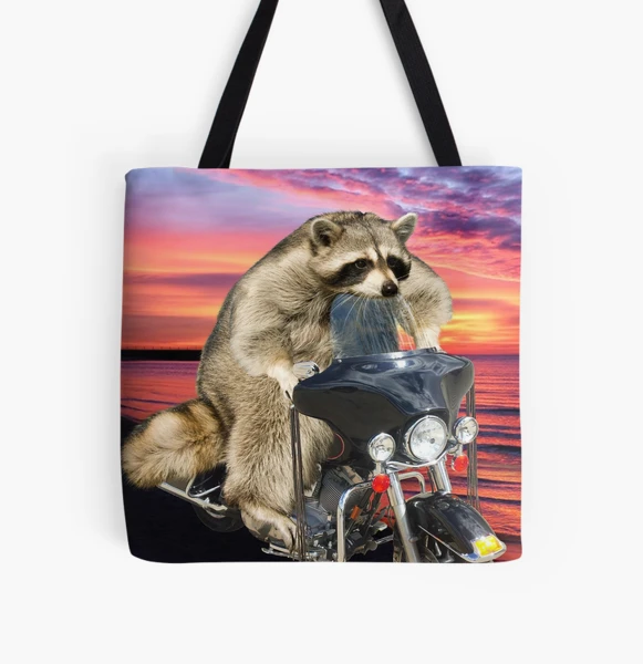 Birthday Raccoon on Motorcycle