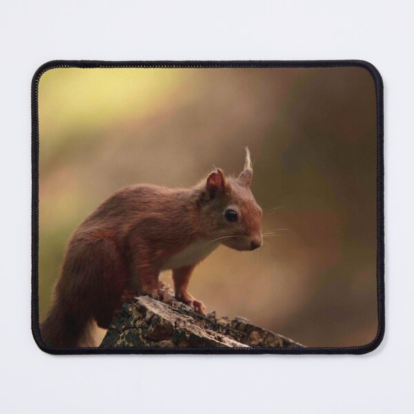 Item preview, Red Squirrel designed and sold by Rebelkj.