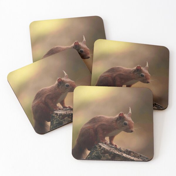 Item preview, Red Squirrel designed and sold by Rebelkj.
