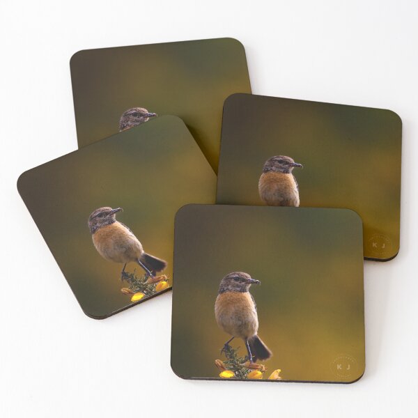 Item preview, Stonechat Female designed and sold by Rebelkj.