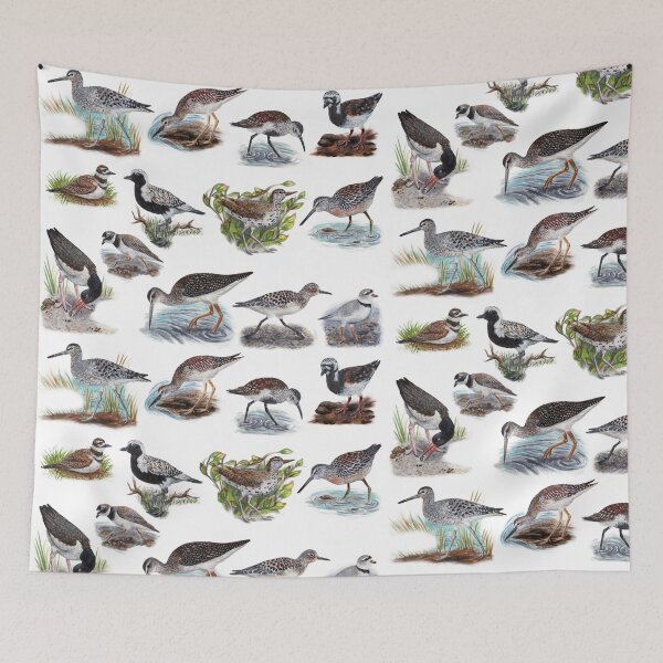 Item preview, Shorebirds of New England Biological Illustration Diagram No Labels designed and sold by skipjaw.