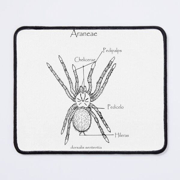 Item preview, Elegance on eight legs | Eighth-legged elegance designed and sold by UCAYAYA.
