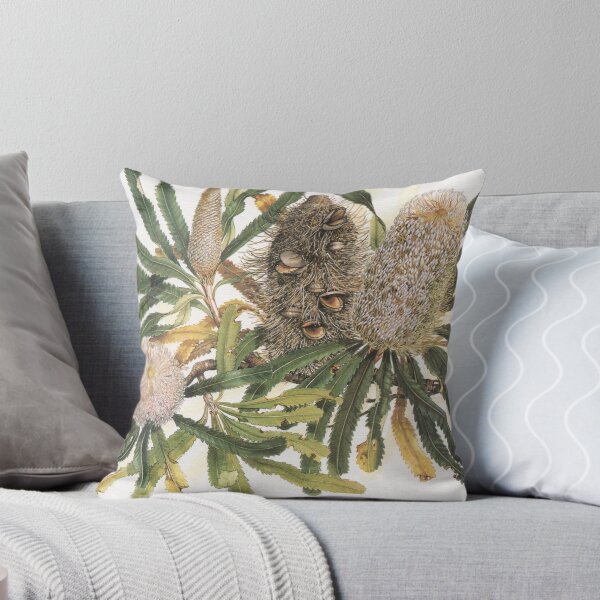 Artikel-Vorschau von Banksia serrata, designt und verkauft von DrawingOnNature.