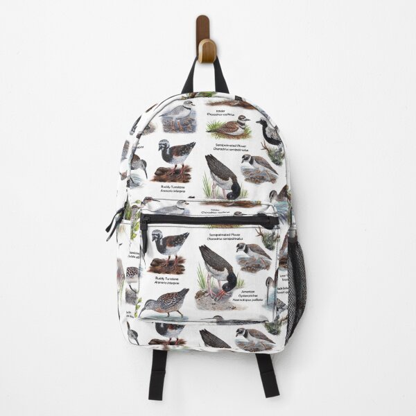 Item preview, Shorebirds of New England Biological Illustration Diagram Labeled designed and sold by skipjaw.