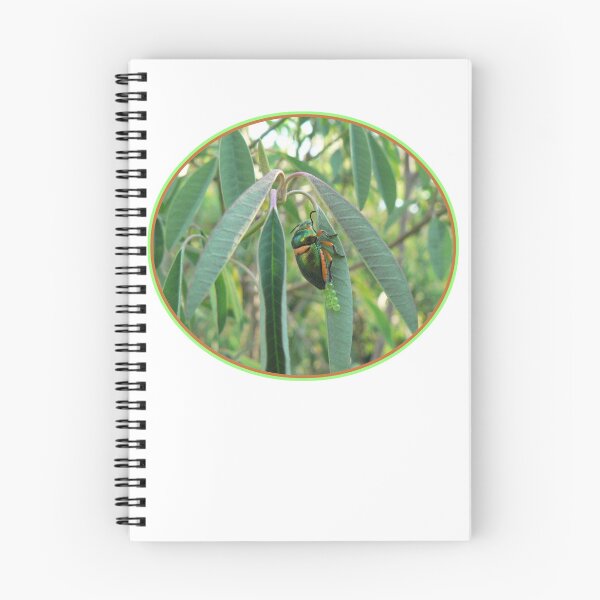 Item preview, Aussie beetle designed and sold by Sharon K.