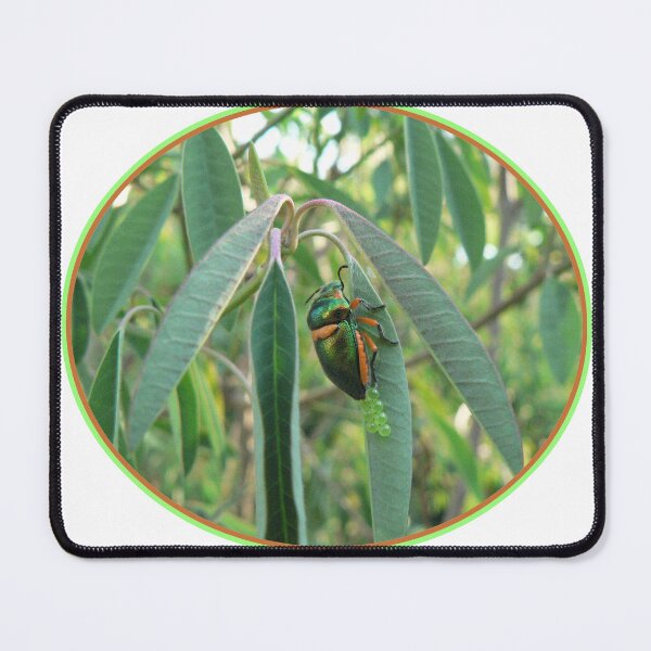 Item preview, Aussie beetle designed and sold by Sharon K.