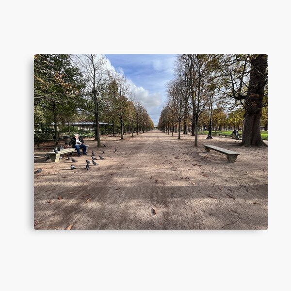 Item preview, Jardin de Tuileries Paris, France designed and sold by Matthew Colvin de Valle.