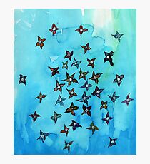 sea of seastars Photographic Print