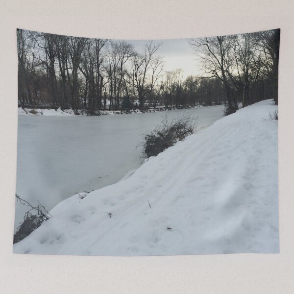 Item preview, Frozen Canal in Winter designed and sold by CJRPics.